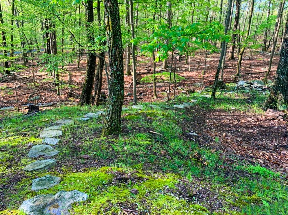 Chalet W Hot Tub, Large Deck, Grill, & Fast Wifi Berkeley Springs Esterno foto